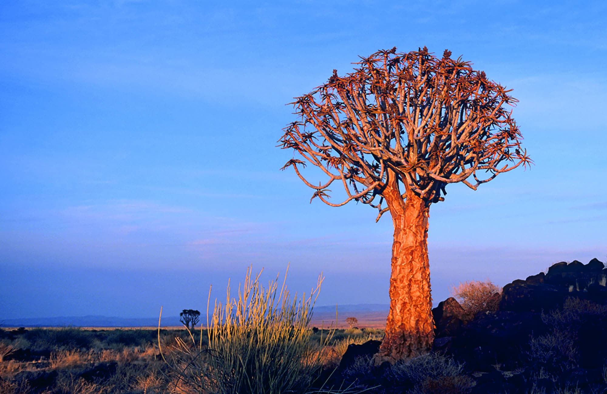 Fish River Canyon Experience (11)